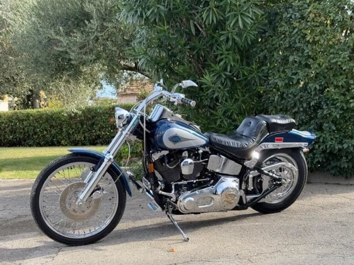 Harley-Davidson 1340 Custom (1989 - 98) (20)