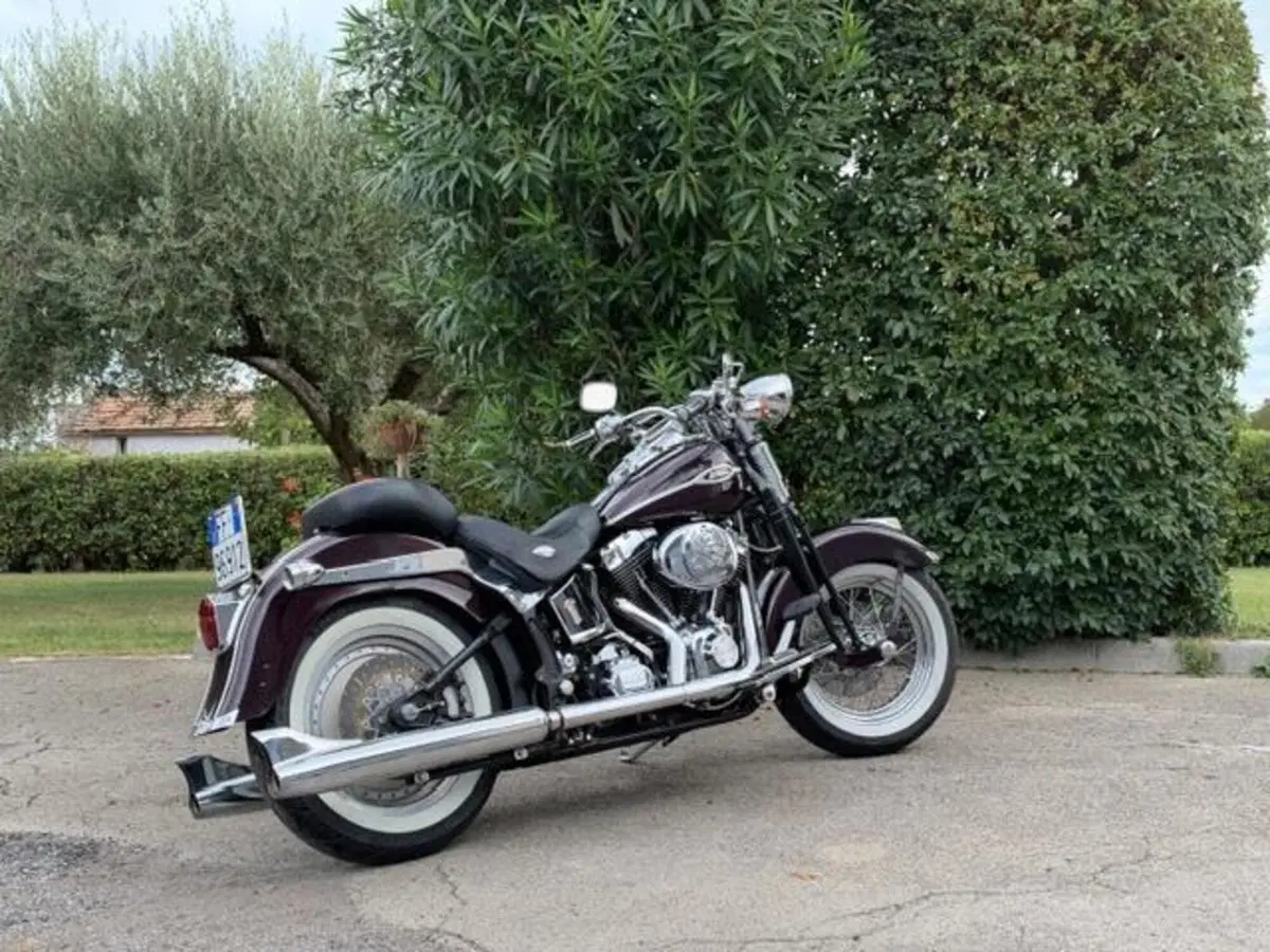 Harley-Davidson 1450 Springer (2005 - 06) - FXSTSI
