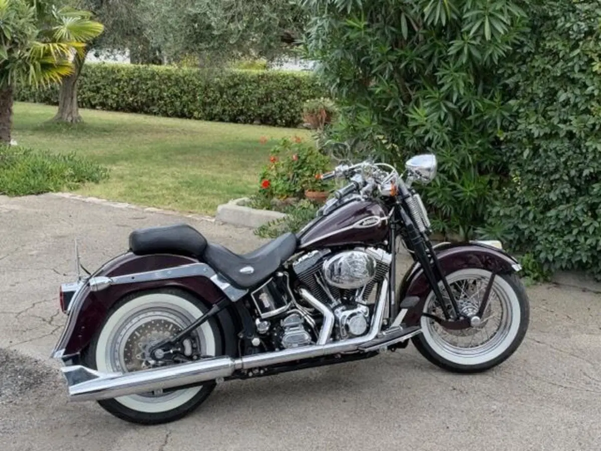 Harley-Davidson 1450 Springer (2005 - 06) - FXSTSI (2)