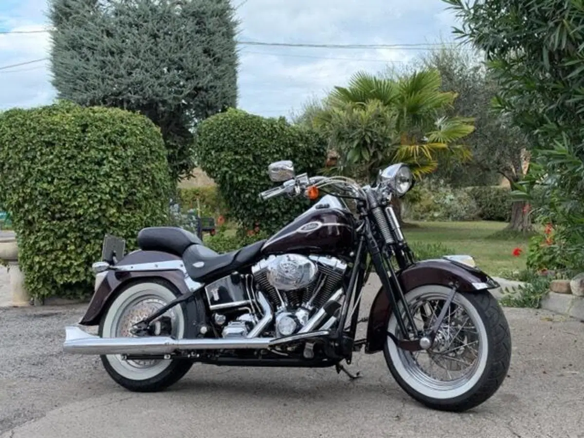 Harley-Davidson 1450 Springer (2005 - 06) - FXSTSI (3)