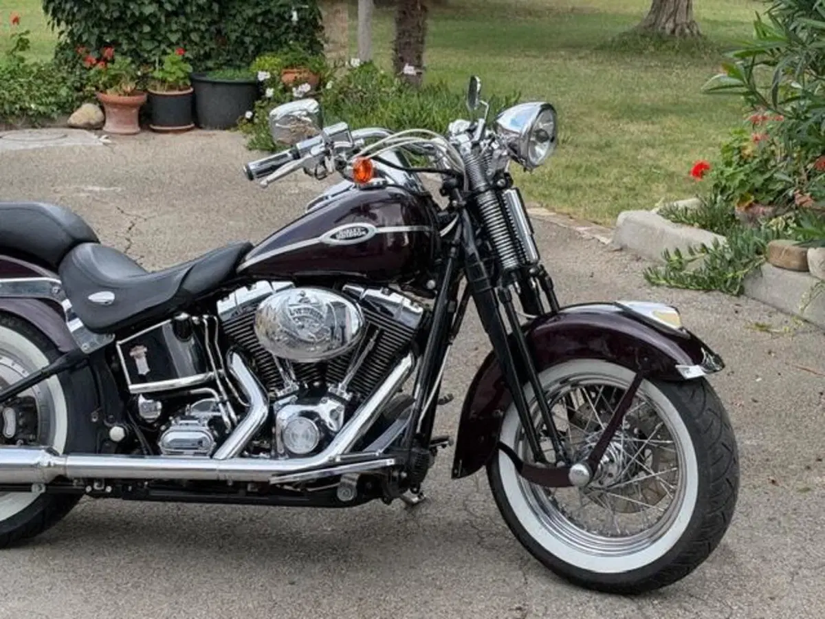 Harley-Davidson 1450 Springer (2005 - 06) - FXSTSI (4)