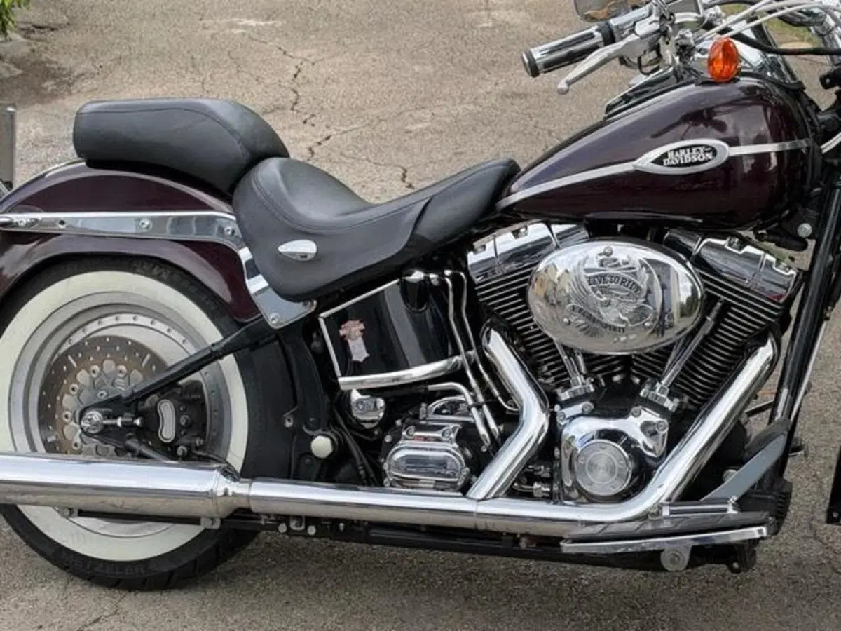 Harley-Davidson 1450 Springer (2005 - 06) - FXSTSI (5)