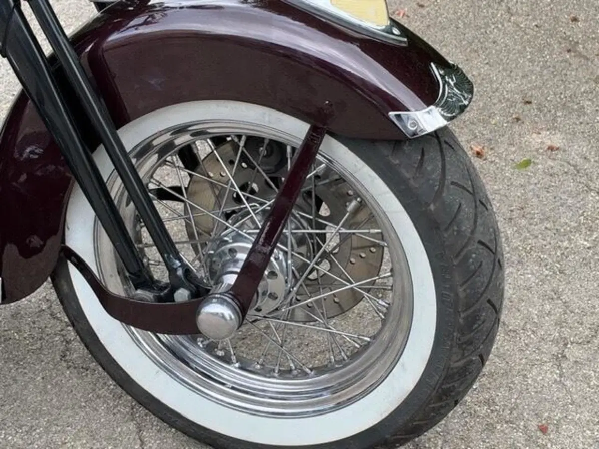 Harley-Davidson 1450 Springer (2005 - 06) - FXSTSI (6)