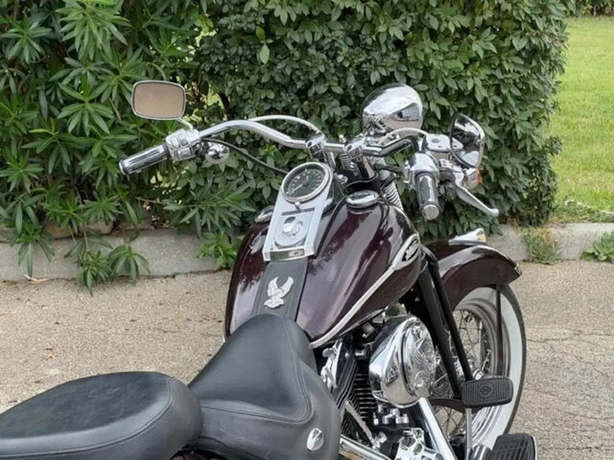 Harley-Davidson 1450 Springer (2005 - 06) - FXSTSI (8)