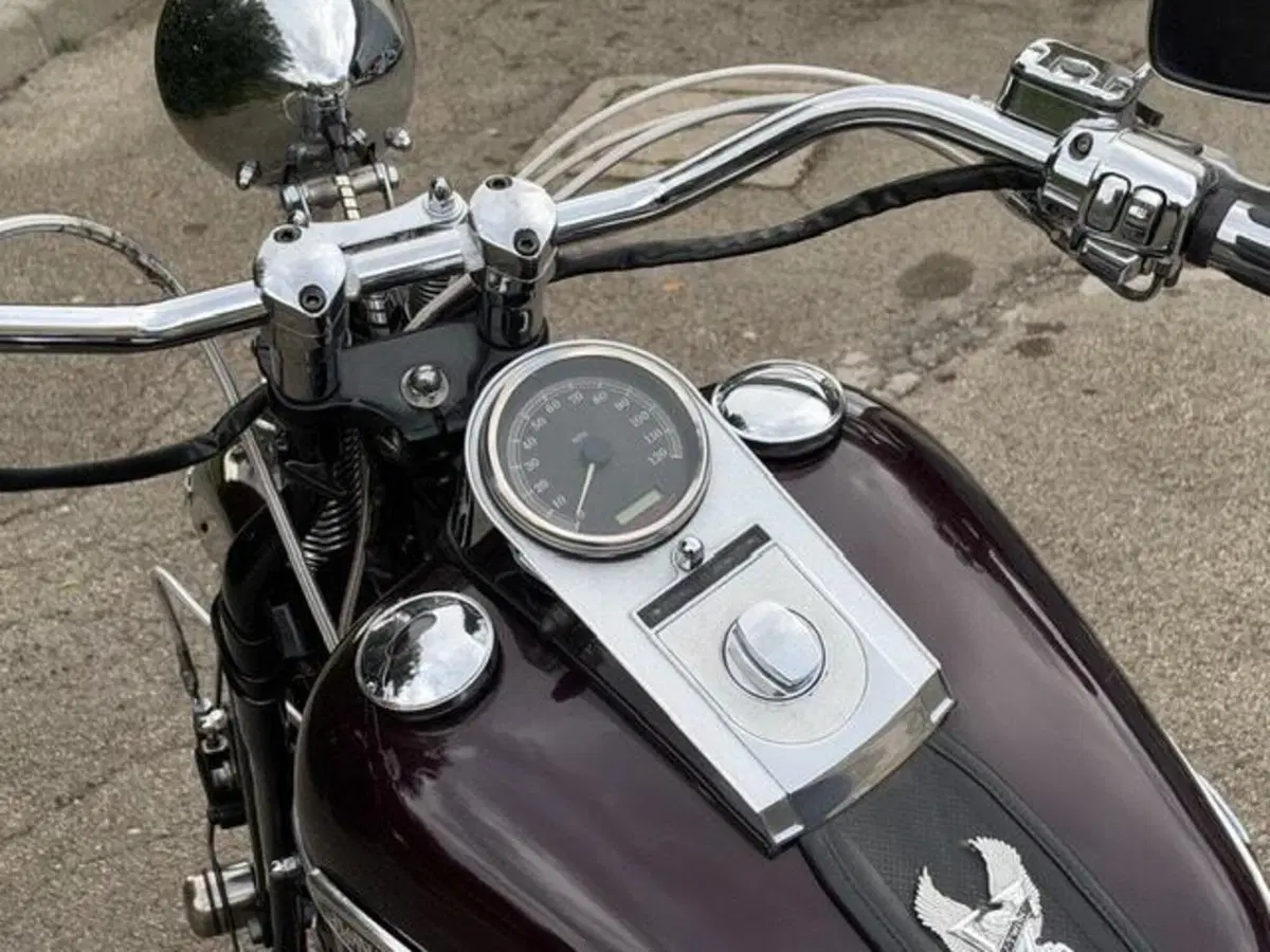 Harley-Davidson 1450 Springer (2005 - 06) - FXSTSI (9)
