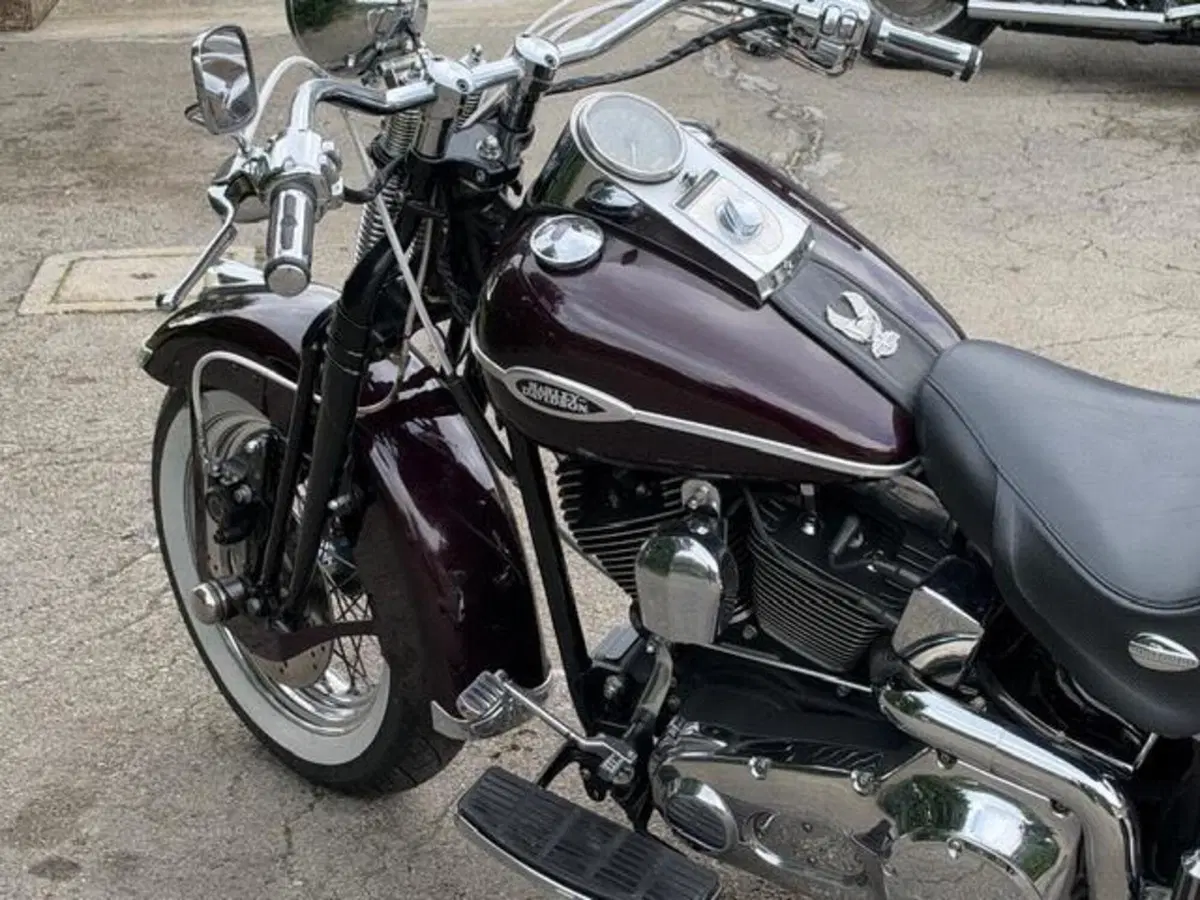 Harley-Davidson 1450 Springer (2005 - 06) - FXSTSI (11)