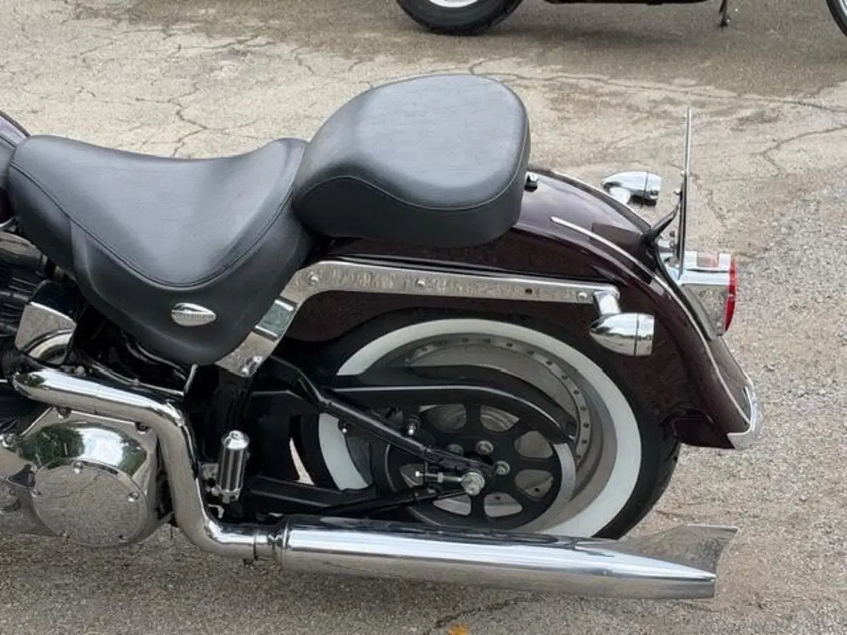 Harley-Davidson 1450 Springer (2005 - 06) - FXSTSI (12)