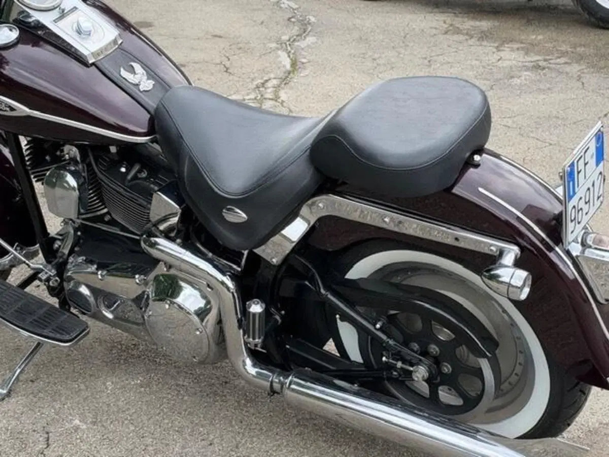 Harley-Davidson 1450 Springer (2005 - 06) - FXSTSI (13)