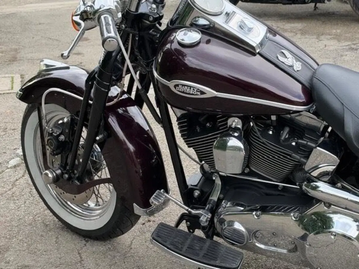 Harley-Davidson 1450 Springer (2005 - 06) - FXSTSI (14)