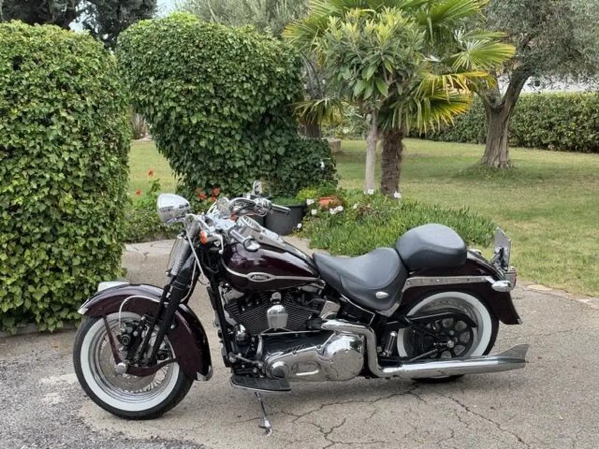 Harley-Davidson 1450 Springer (2005 - 06) - FXSTSI (15)
