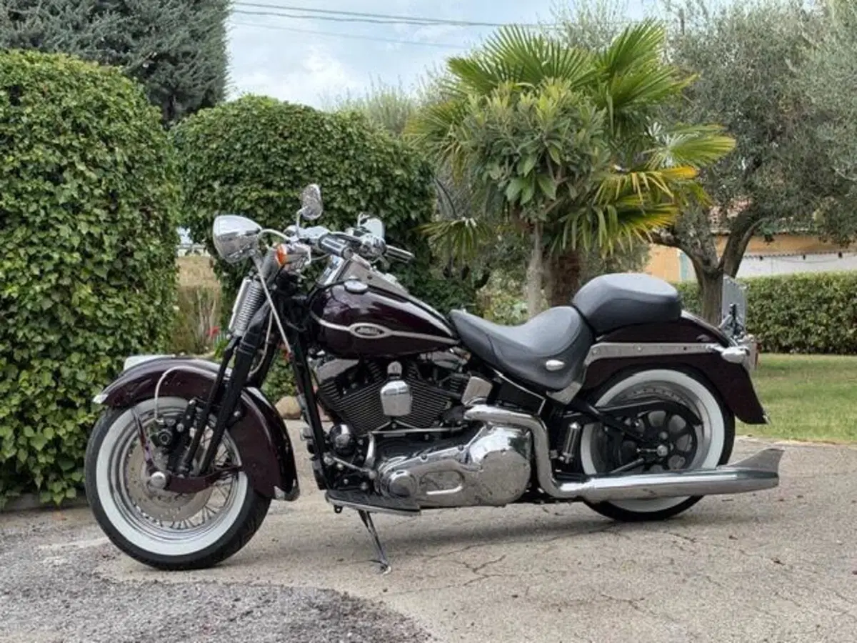 Harley-Davidson 1450 Springer (2005 - 06) - FXSTSI (16)