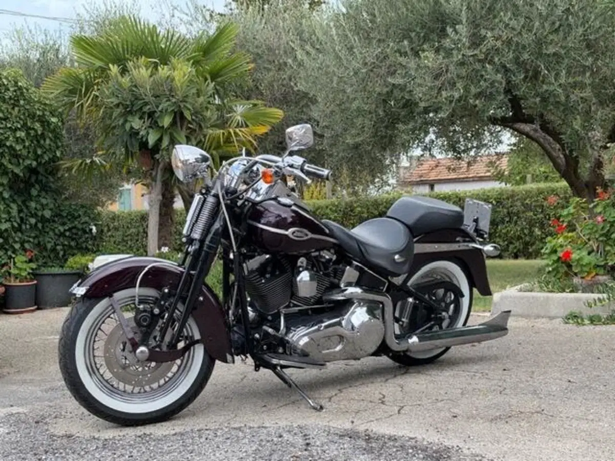 Harley-Davidson 1450 Springer (2005 - 06) - FXSTSI (17)