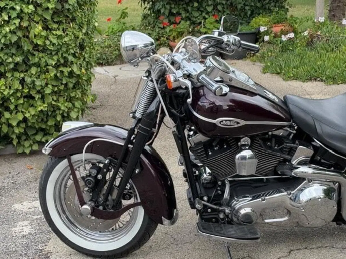 Harley-Davidson 1450 Springer (2005 - 06) - FXSTSI (18)