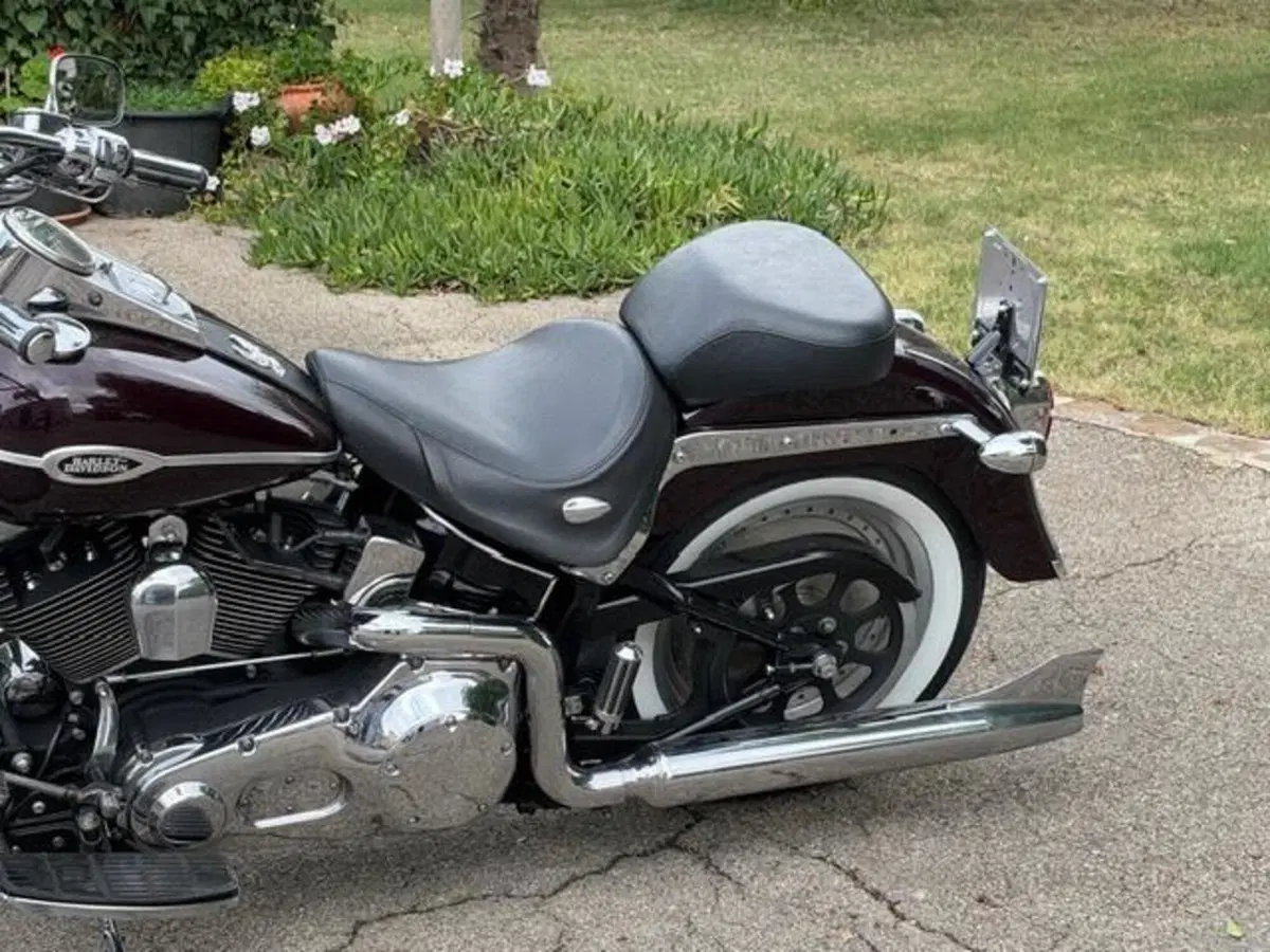 Harley-Davidson 1450 Springer (2005 - 06) - FXSTSI (19)