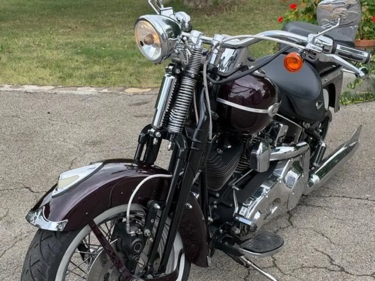 Harley-Davidson 1450 Springer (2005 - 06) - FXSTSI (20)