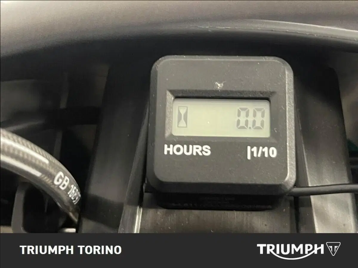 Triumph TF 250-X (2027) (9)