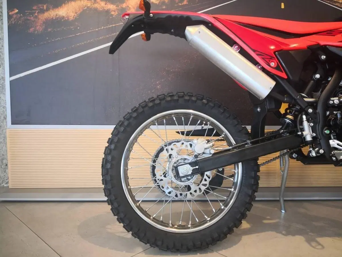 Betamotor RR 50 Enduro (2021 - 26) (6)