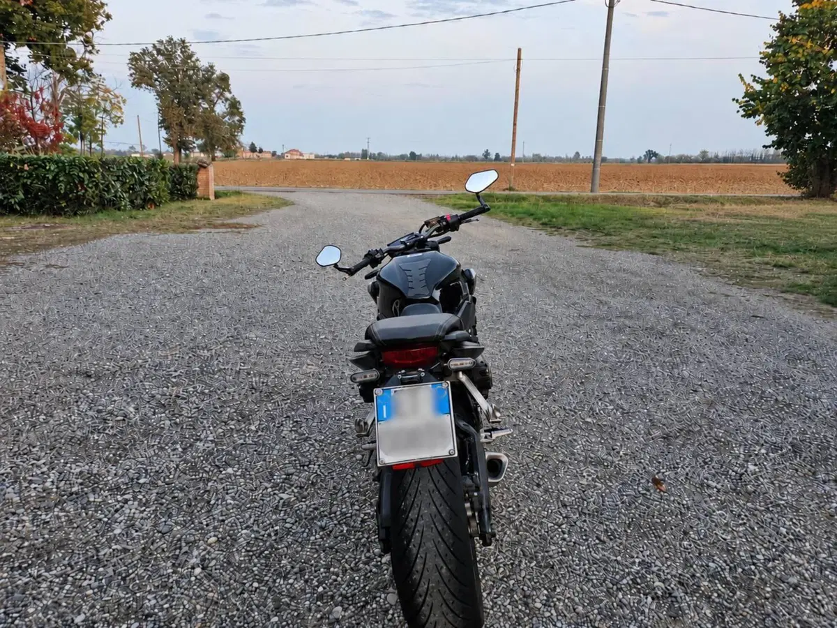 Honda CB 650 R (2019 - 20) (4)