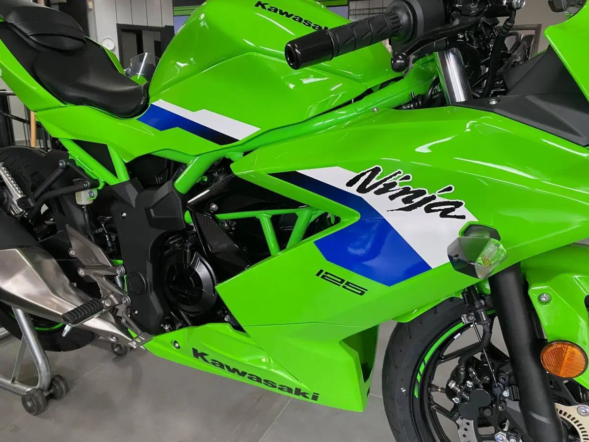 Kawasaki Ninja 125 (2025 - 27) (2)