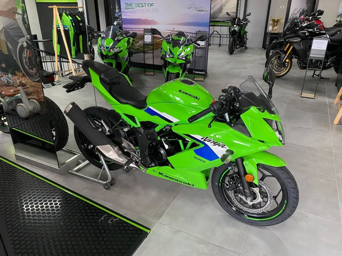 Kawasaki Ninja 125 (2025 - 27)