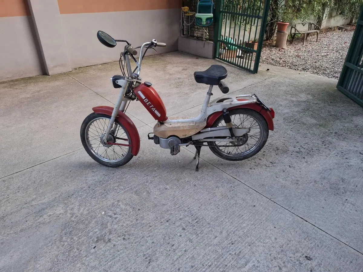 Betamotor holly bambi (8)