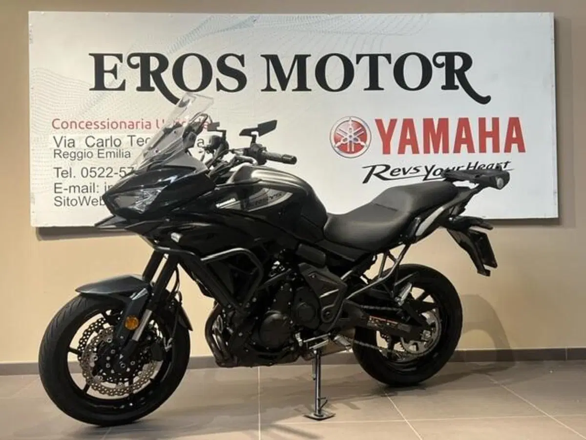 Kawasaki Versys 650 (2025 - 27) (2)