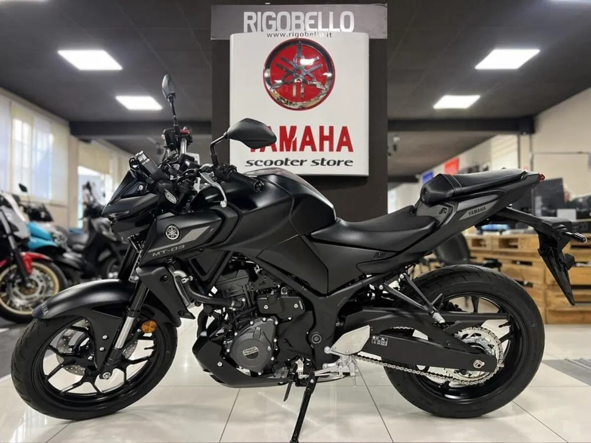 Yamaha MT-03 (2025 - 26) (4)