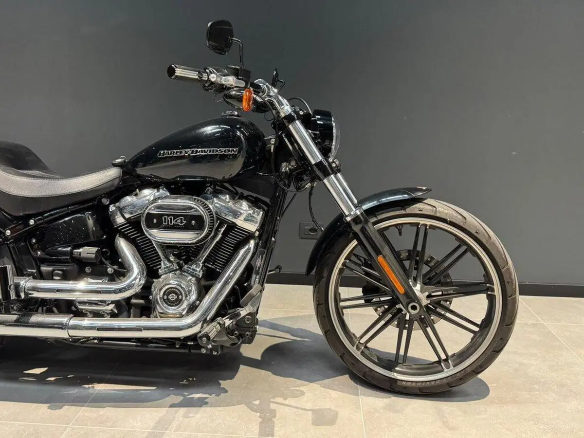 Harley-Davidson 114 Breakout (2018 - 20) - FXBRS (10)