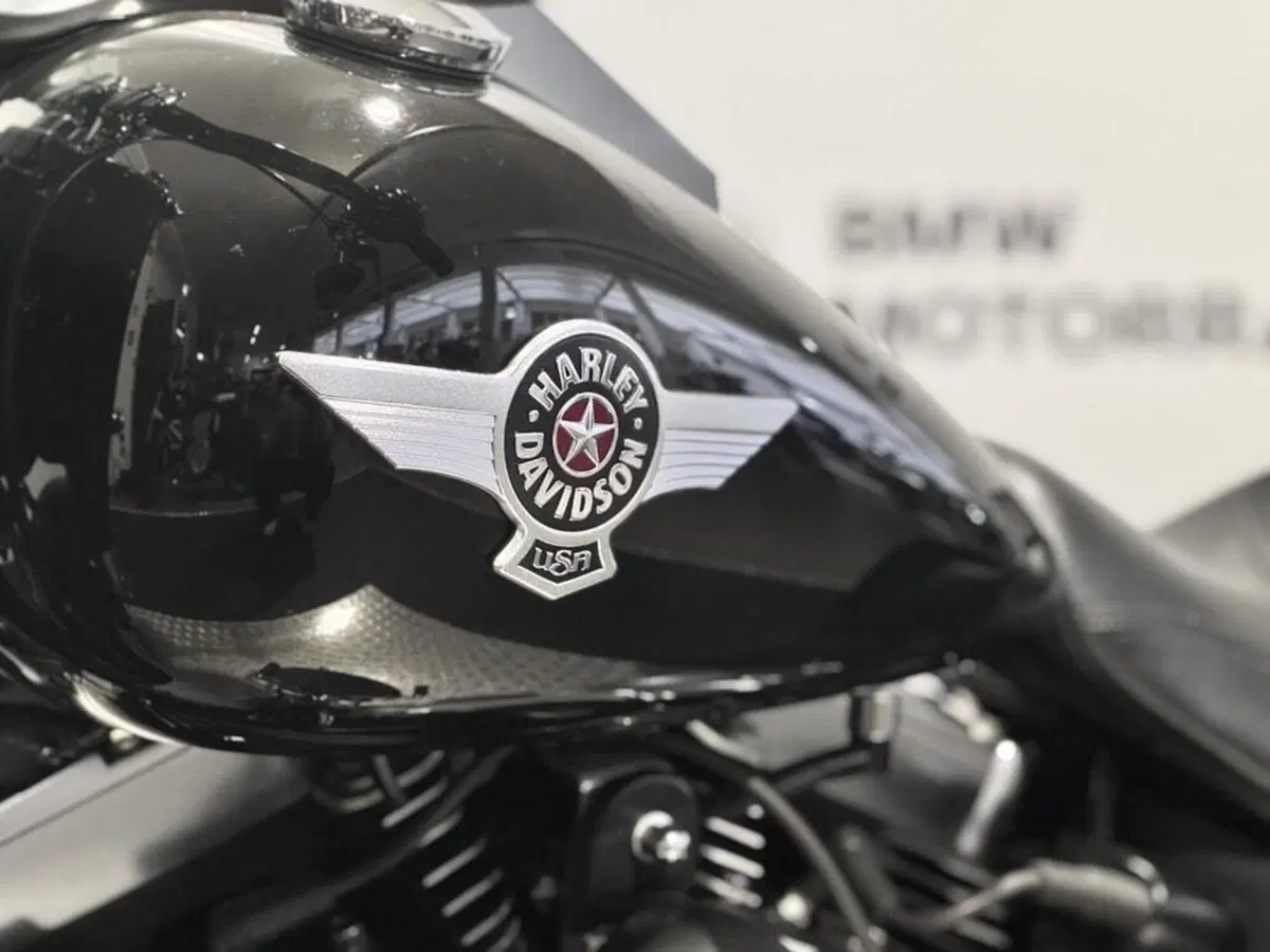Harley-Davidson 1584 Fat Boy (2008 - 10) - FLSTF (4)