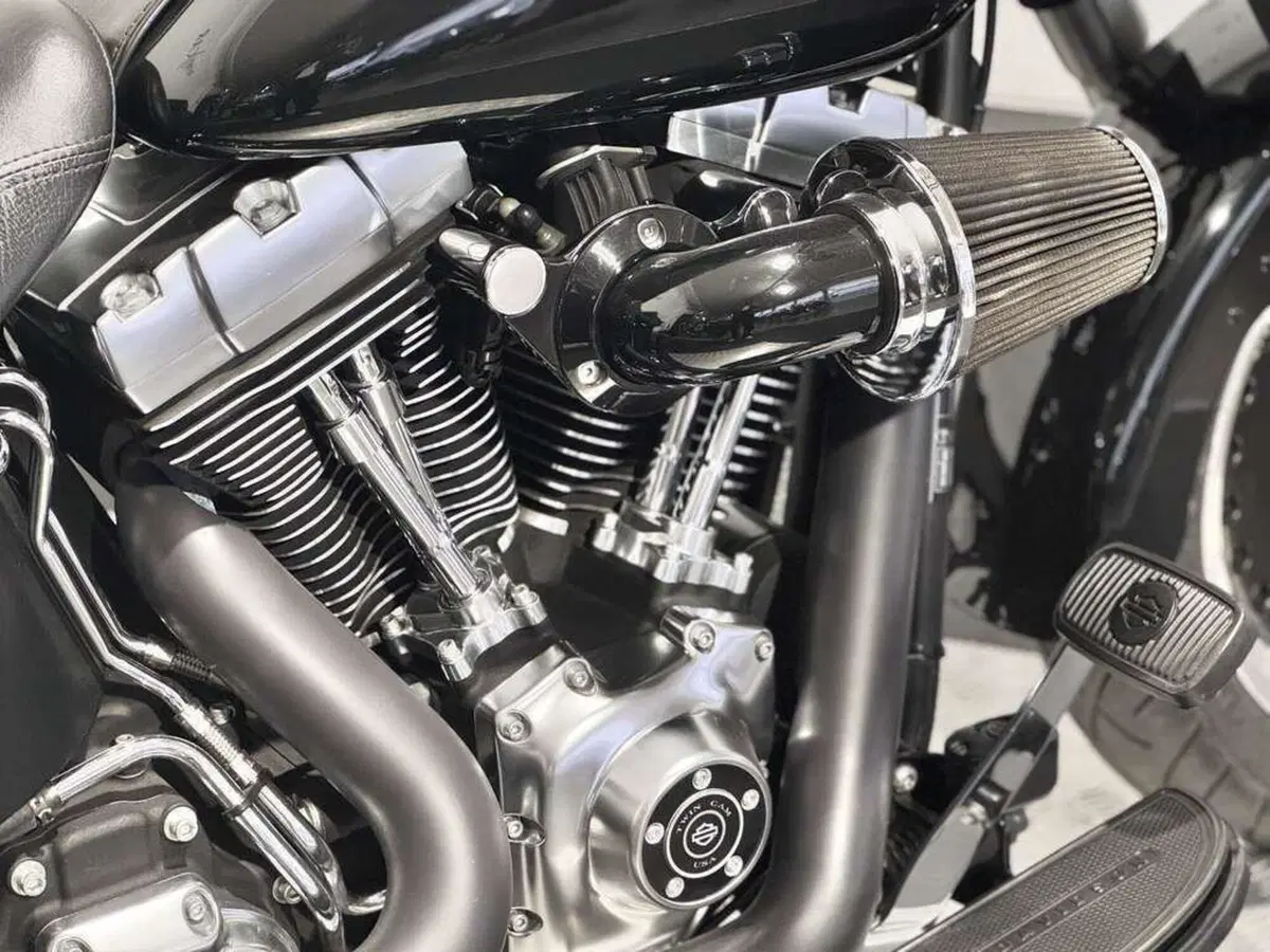 Harley-Davidson 1584 Fat Boy (2008 - 10) - FLSTF (12)