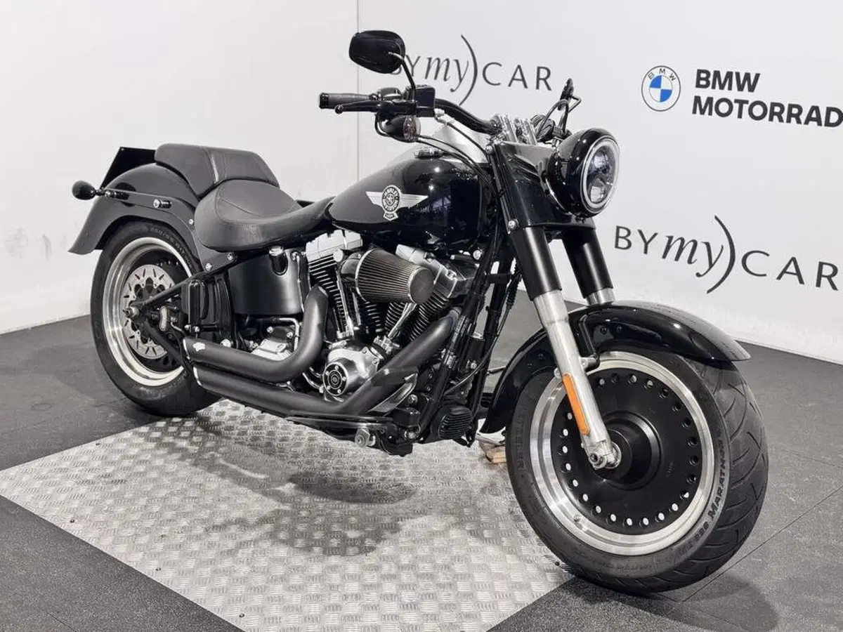 Harley-Davidson 1584 Fat Boy (2008 - 10) - FLSTF (9)