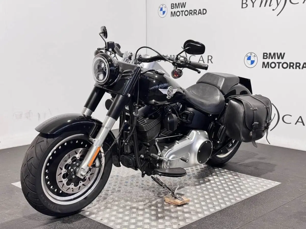 Harley-Davidson 1584 Fat Boy (2008 - 10) - FLSTF (6)