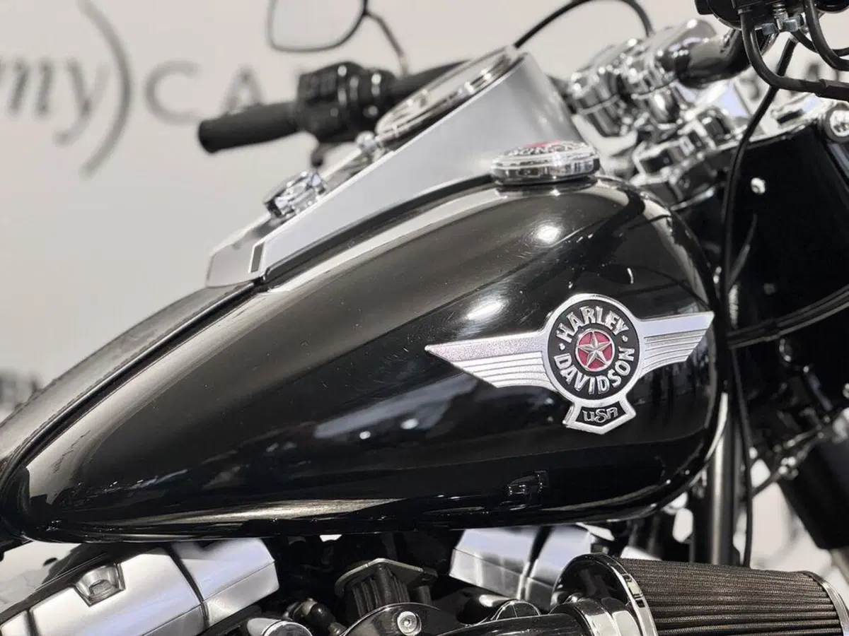 Harley-Davidson 1584 Fat Boy (2008 - 10) - FLSTF (15)