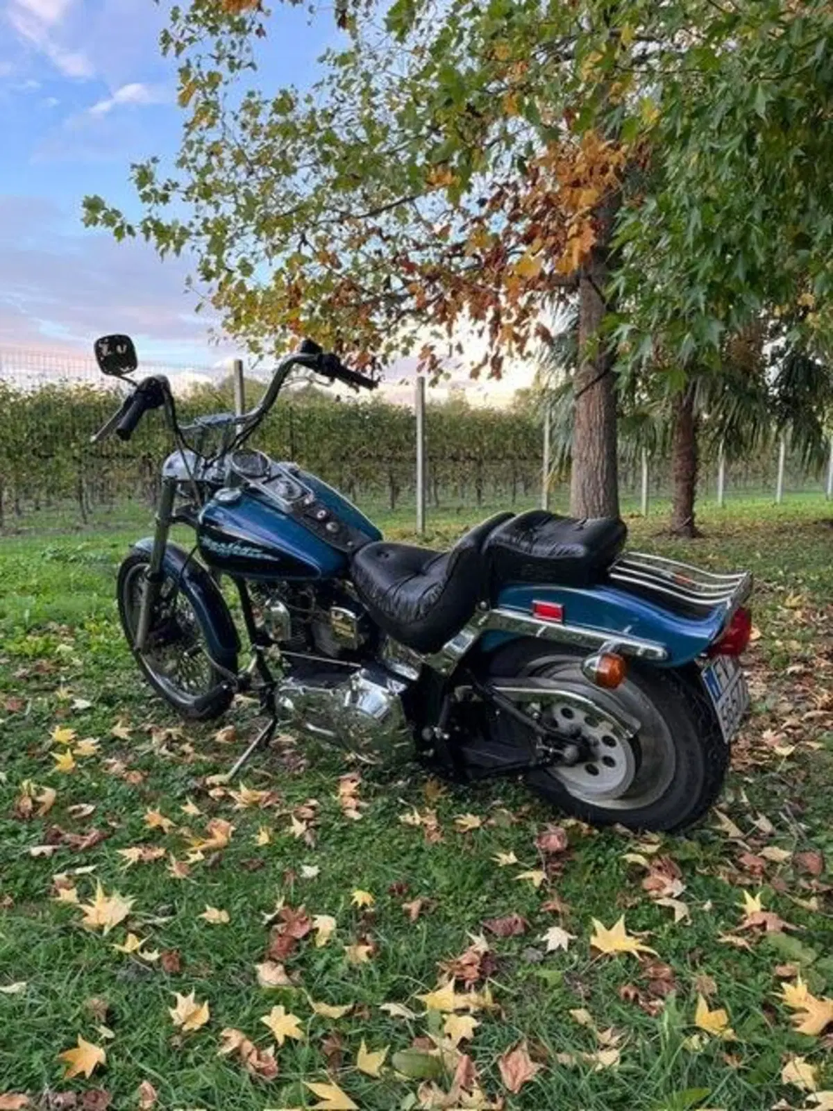 Harley-Davidson 1340 Custom (1989 - 98) (2)