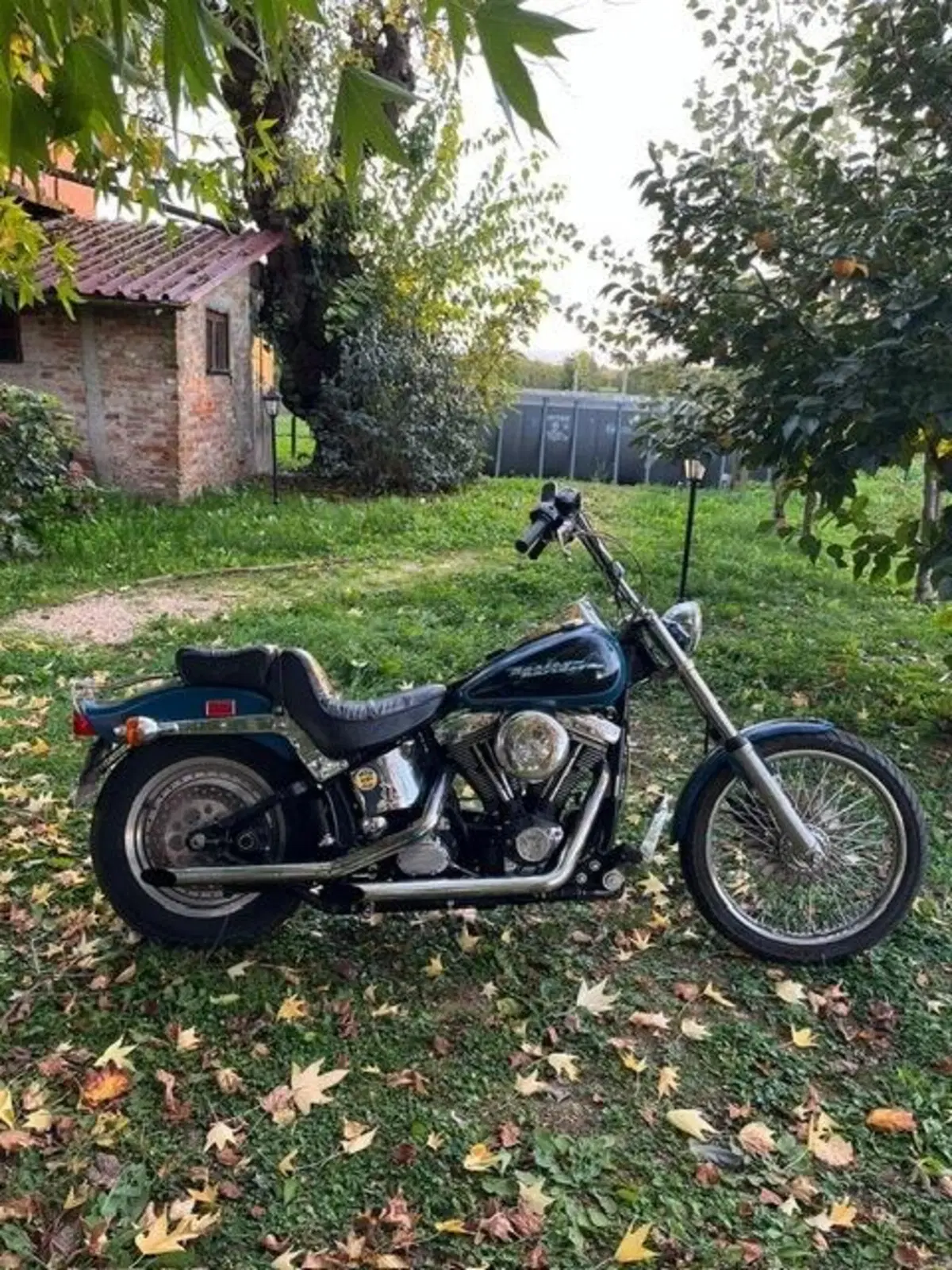 Harley-Davidson 1340 Custom (1989 - 98) (3)