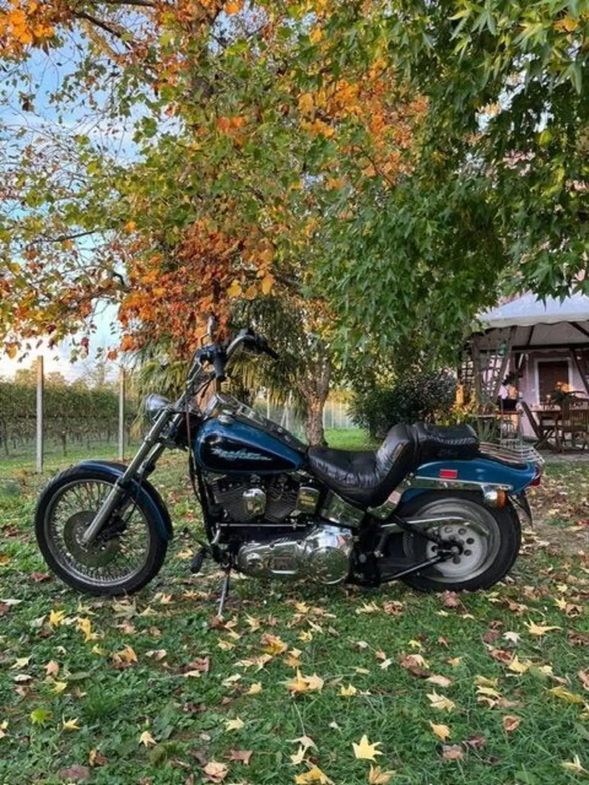 Harley-Davidson 1340 Custom (1989 - 98) (4)