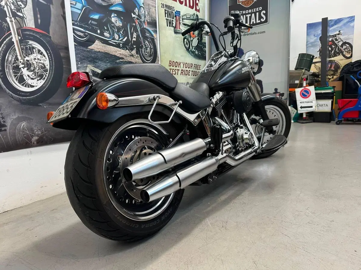 Harley-Davidson 1584 Fat Boy (2008 - 10) - FLSTF (4)