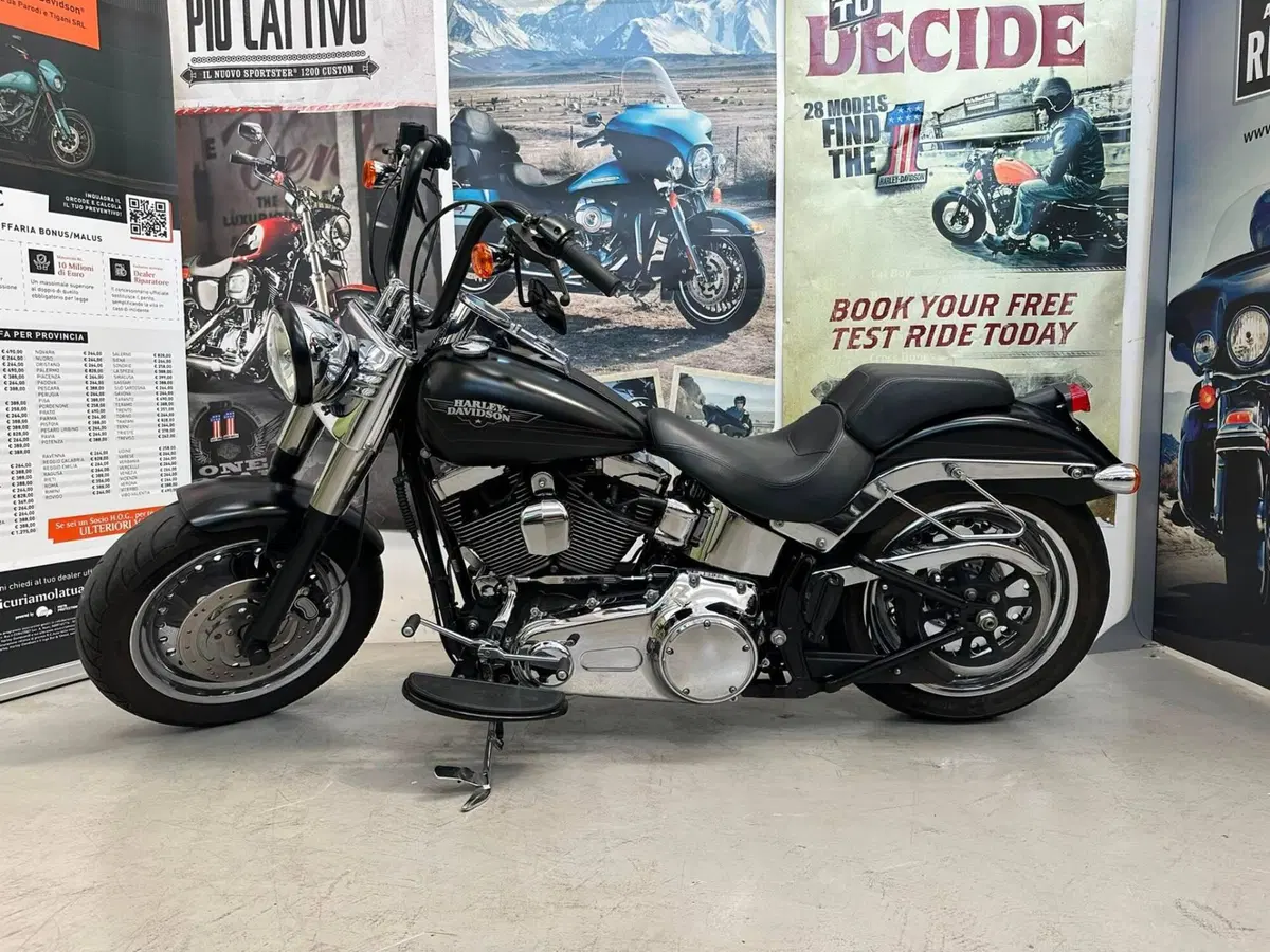 Harley-Davidson 1584 Fat Boy (2008 - 10) - FLSTF (2)