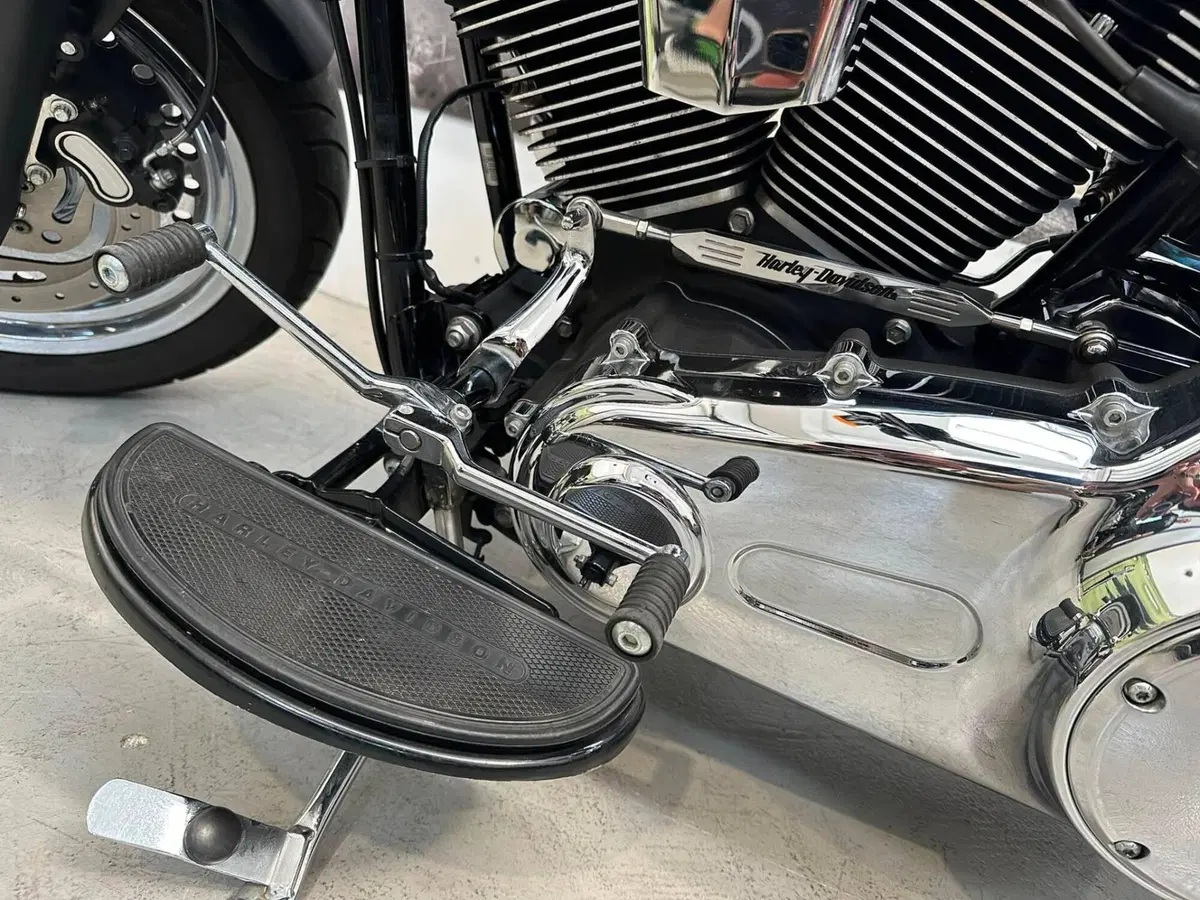 Harley-Davidson 1584 Fat Boy (2008 - 10) - FLSTF (5)