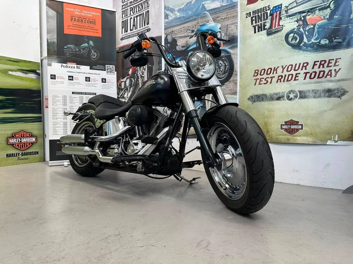 Harley-Davidson 1584 Fat Boy (2008 - 10) - FLSTF (3)