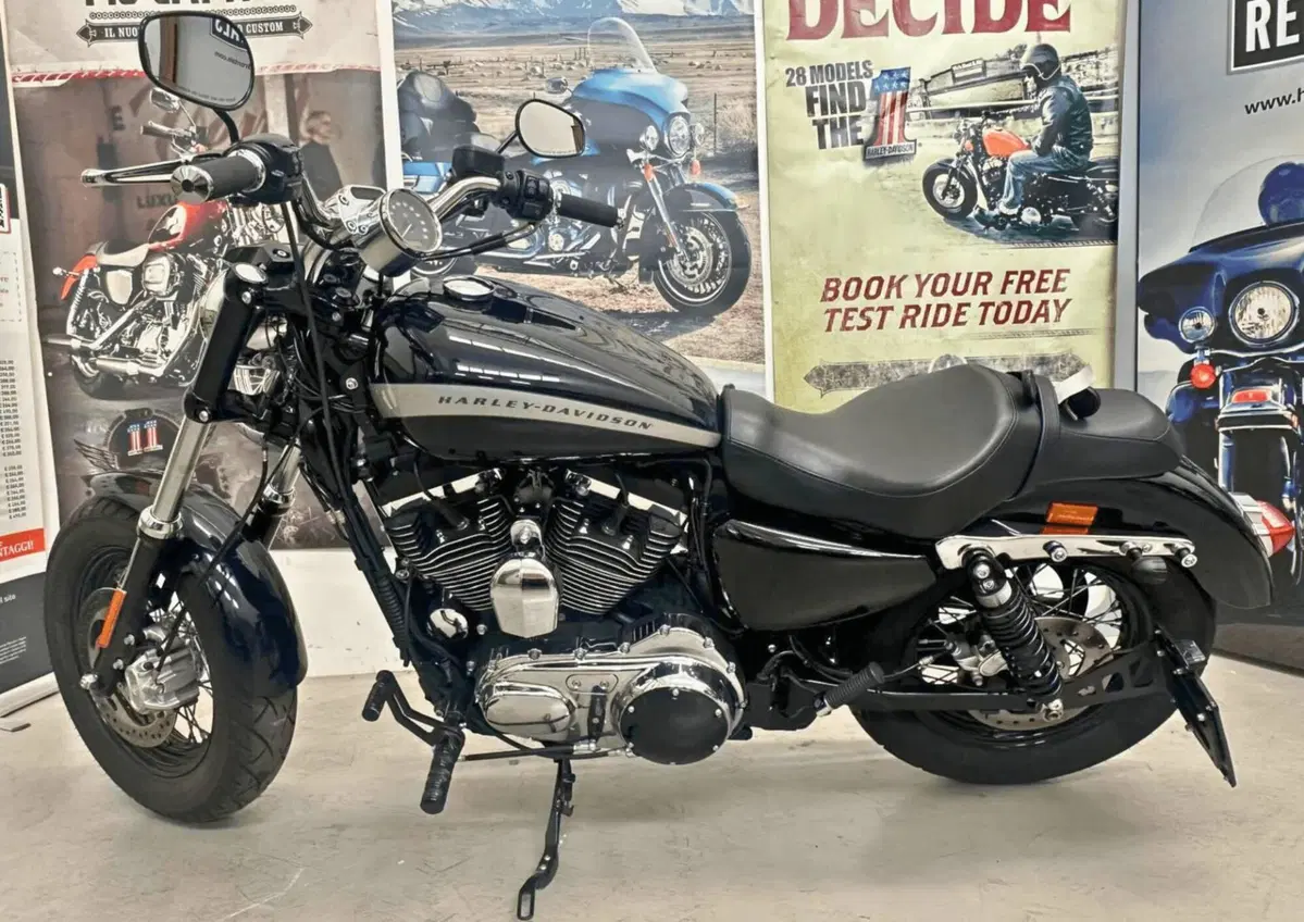 Harley-Davidson 1200 Custom (2018 - 20) - XL1200C (2)