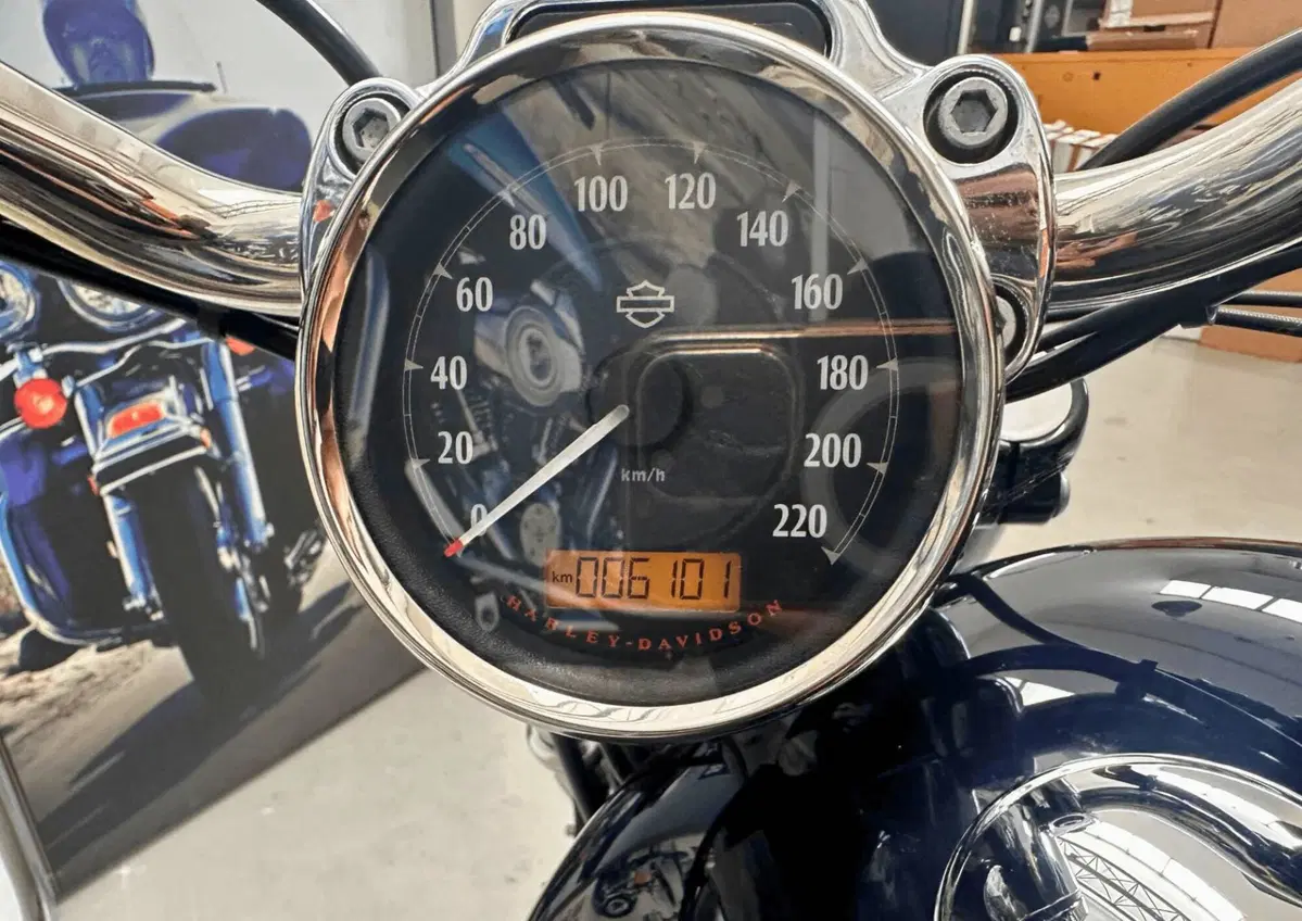 Harley-Davidson 1200 Custom (2018 - 20) - XL1200C (7)