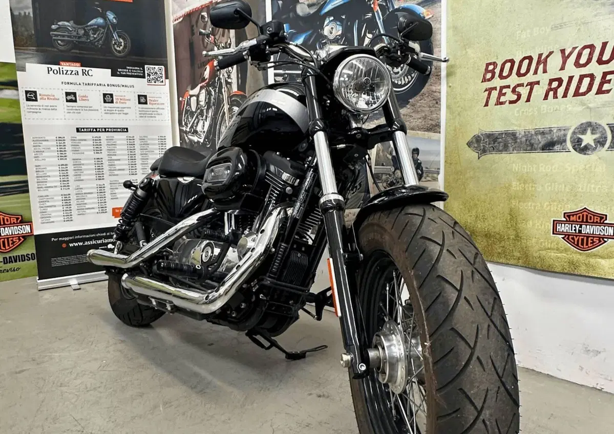 Harley-Davidson 1200 Custom (2018 - 20) - XL1200C (3)