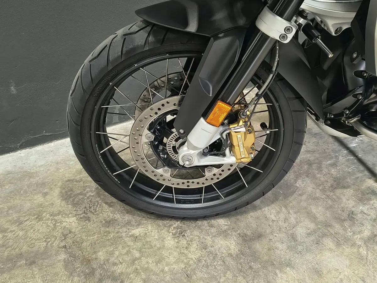 Bmw R 1250 GS Adventure (2021 - 24) (12)