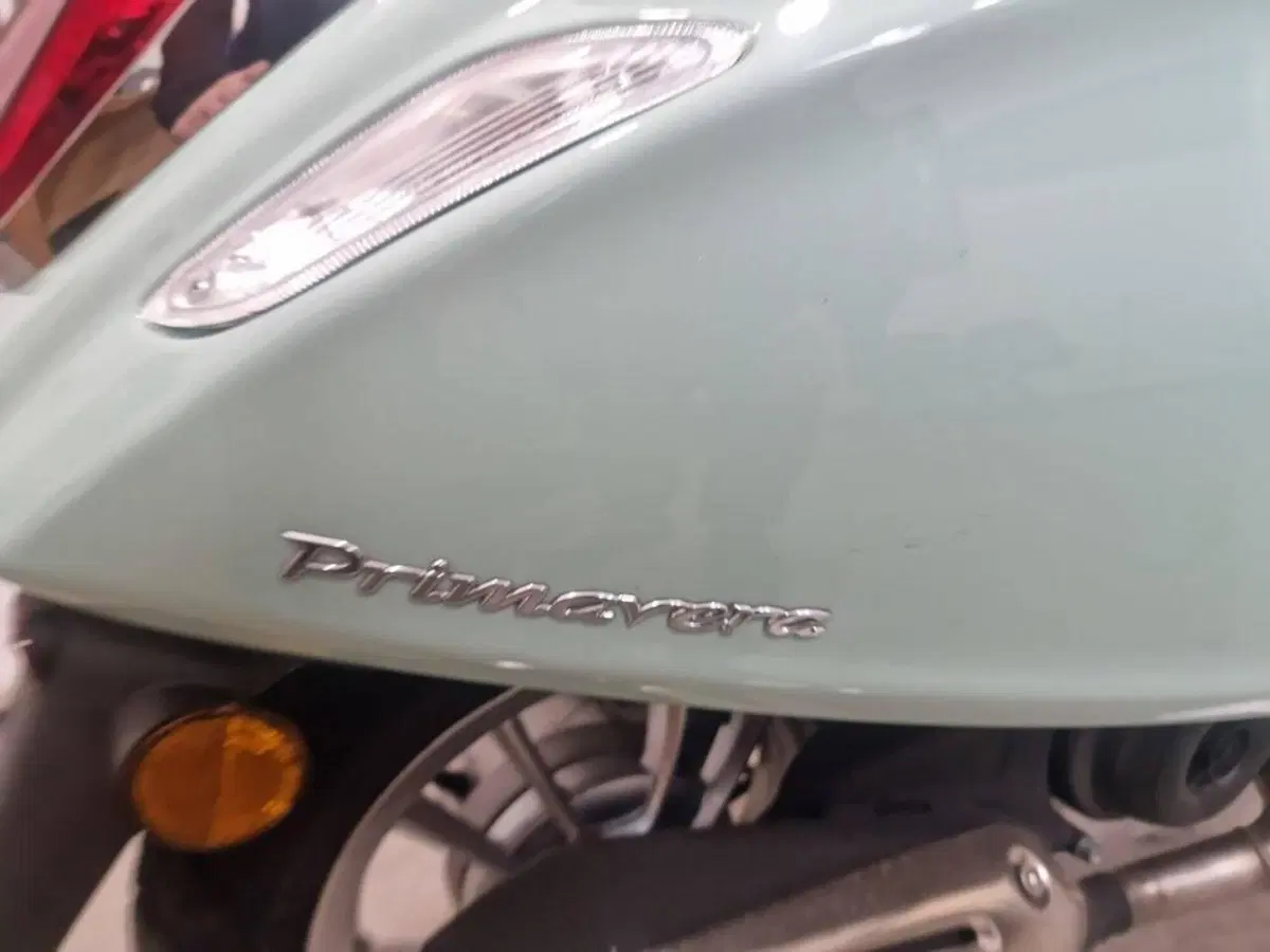 Vespa Primavera 50 (2024 - 25) (5)