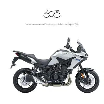 Kawasaki Versys 900 (2027) nuova