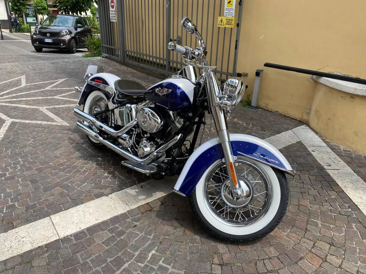 Harley-Davidson 1584 Deluxe (2007 - 08) - FLSTN (2)
