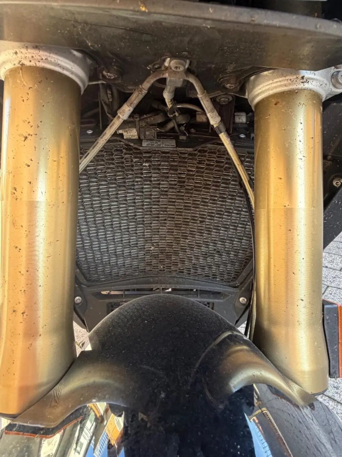 Bmw S 1000 XR (2024 - 26) (9)