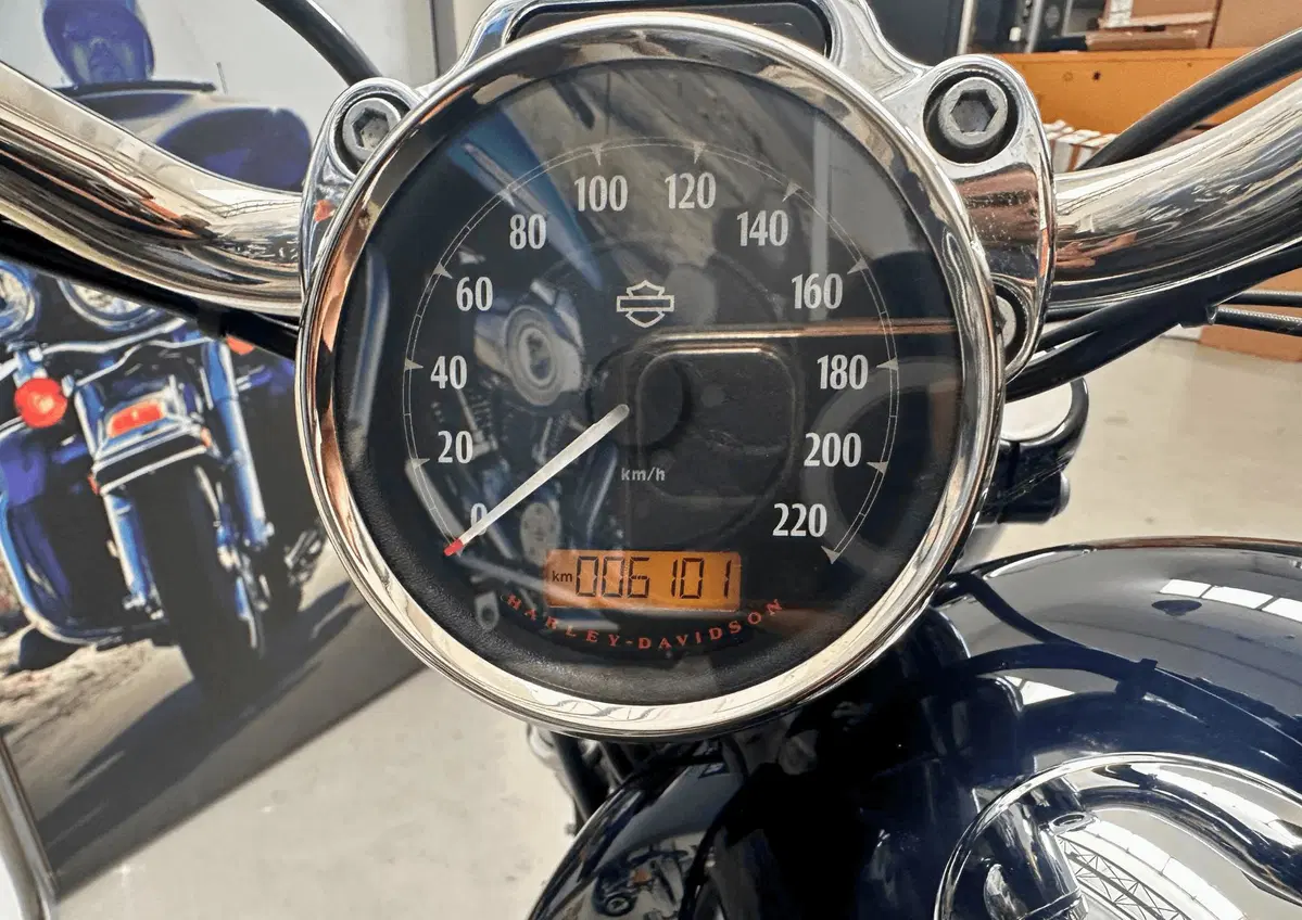 Harley-Davidson 1200 Custom (2018 - 20) - XL1200C (4)