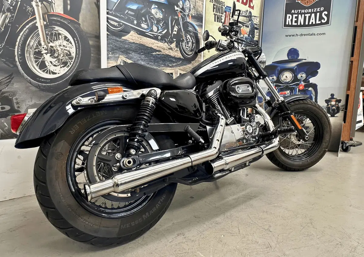 Harley-Davidson 1200 Custom (2018 - 20) - XL1200C (3)
